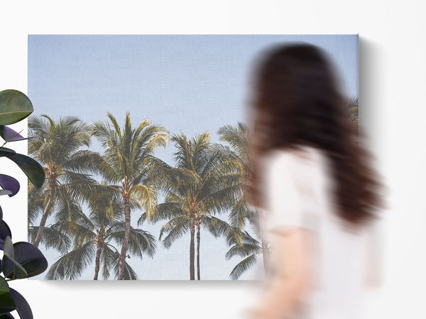 Constantin Acoustic Wall Panel - Canvas-like