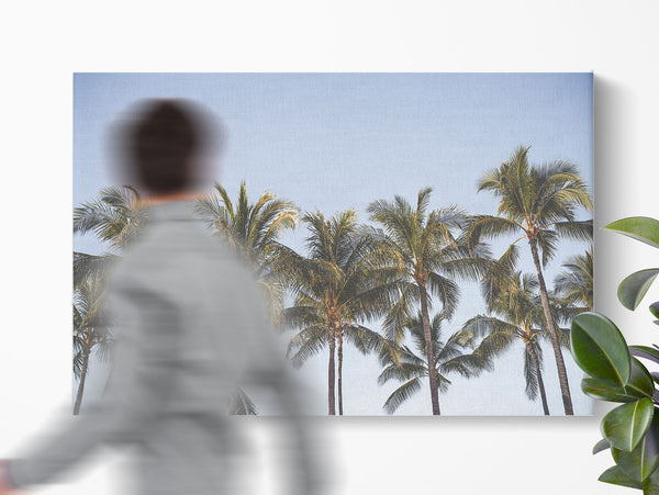 Constantin Acoustic Wall Panel - Canvas-like