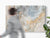 Romeo Acoustic Wall Panel - Canvas-like
